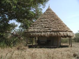 Ndarakwai Camp