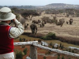Ndarakwai Ranch/Wasserloch