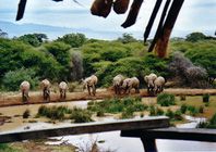 Ndarakwai Ranch/Wasserloch