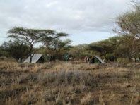 Walkingsafari/Foto:P.Jones