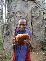 Dorobos/Foto:P.Jones