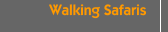 Walking Safaris