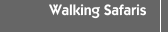 Walking Safaris