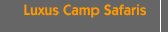Luxus Camp Safaris